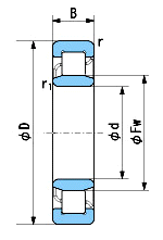 Cuscinetto a Rulli Cilindrici / Automotive Bearing